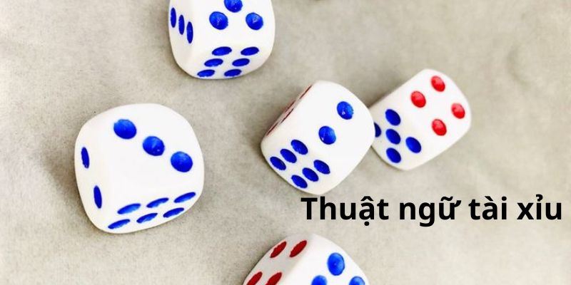 Phương pháp cách chơi tài xỉu luôn thắng